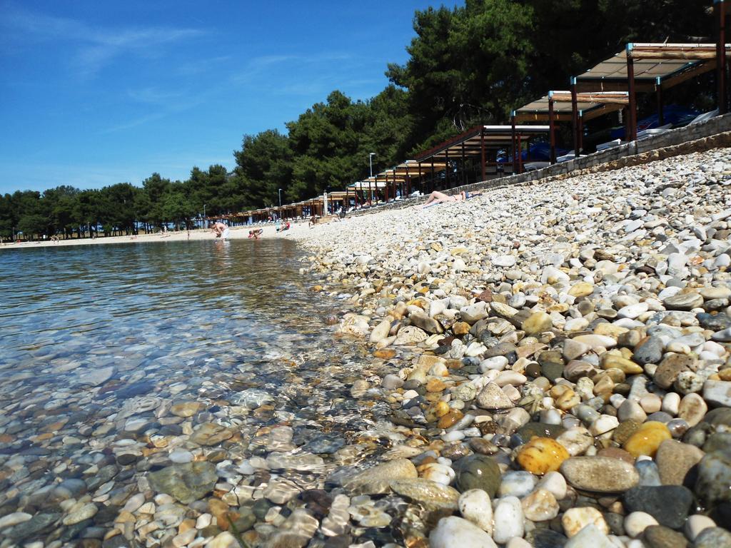 Guest House Gloria Novigrad Istria 외부 사진